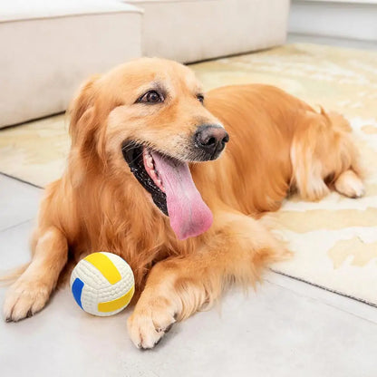 Interactive Dog Ball Toy – Tough Bouncy Chew Ball for Puppies