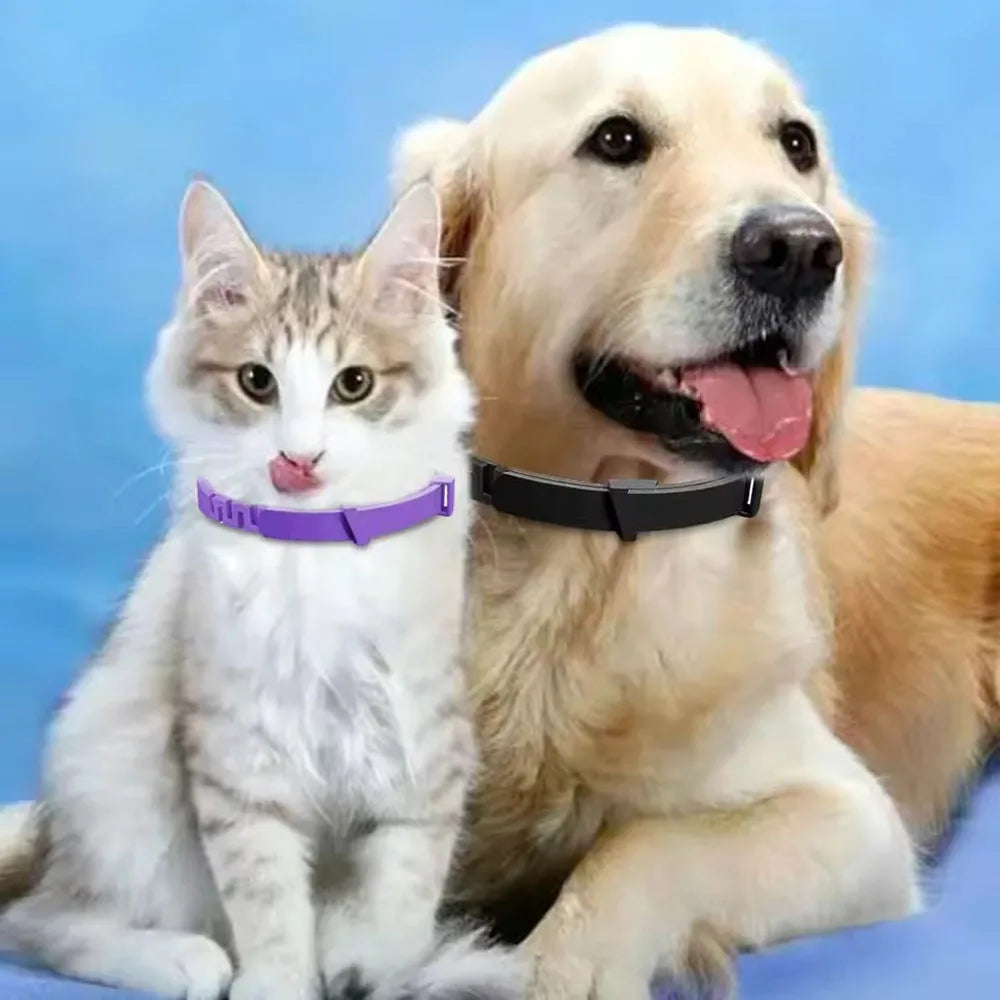 Waterproof Adjustable Pet Collar – Durable Collar for Small, Medium & Large Dogs
