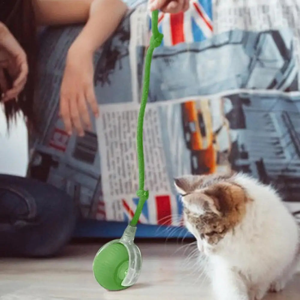 Rechargeable Smart Cat Ball – Interactive Electric Rolling Toy with Faux Tail for Cats & Dogs