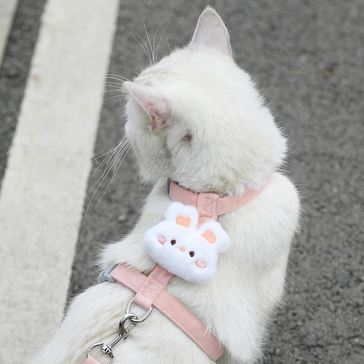 Adjustable Pet Harness & Leash Set – Breathable Walking Vest for Cats & Small Dogs