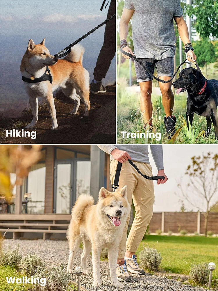 Adjustable Tactical Dog Leash – Elastic Training Lead with Dual Control Handles
