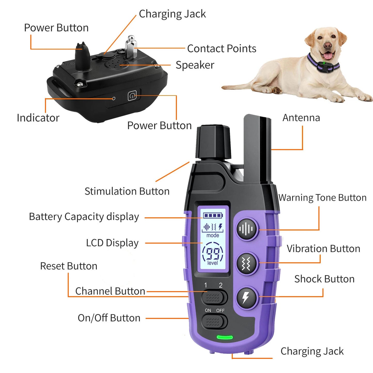 Wasserdichtes Hundetrainingshalsband mit Fernbedienung, Signalton & Vibration