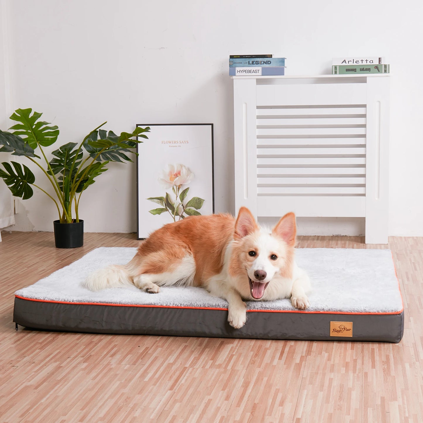 Orthopedic Memory Foam Dog Bed with Waterproof Washable Cover