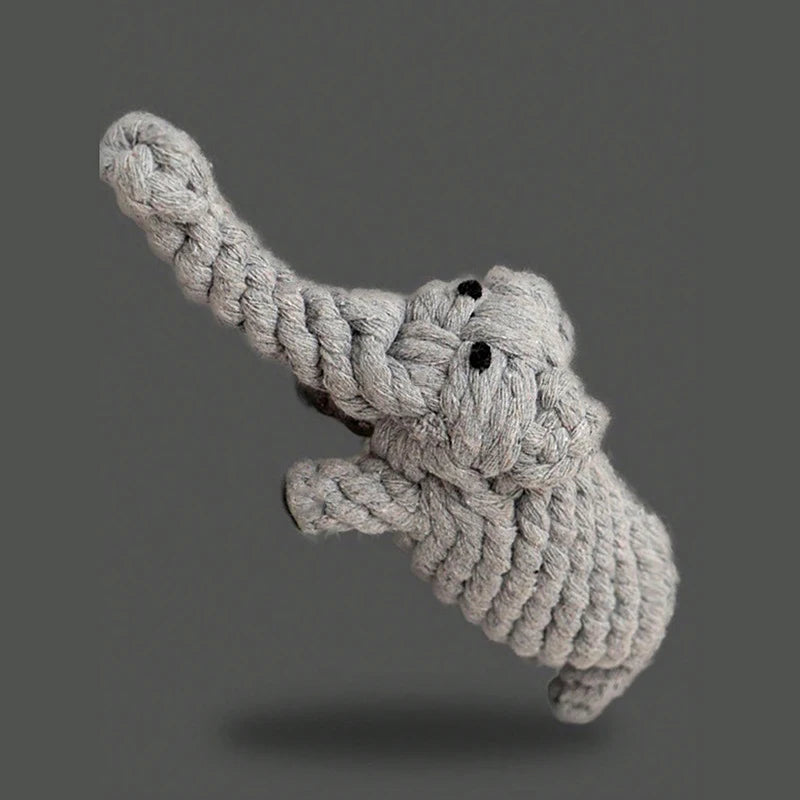 Cotton Rope Knot Dog Toy – Durable Teeth Cleaning Toy for Small & Medium Dogs