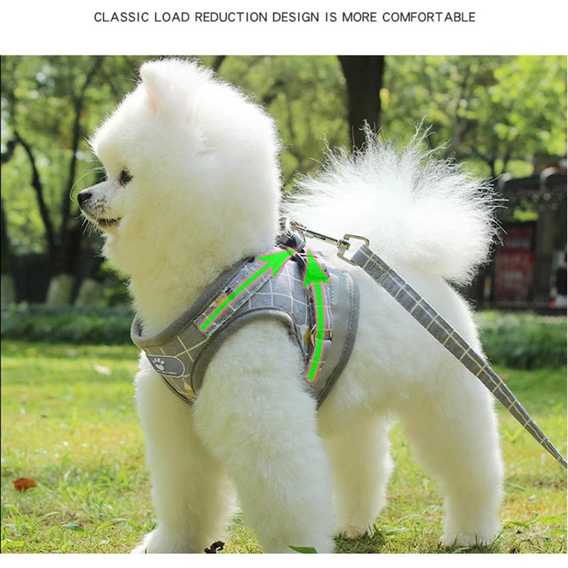 Reflective Pet Harness & Leash Set – Breathable Vest for Small Dogs & Cats