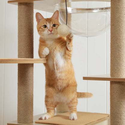 Multi-Level Cat Tree with Condo, Hammock & Scratching Posts