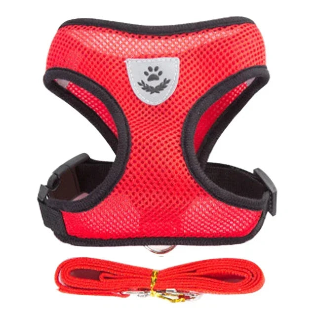 Adjustable Mesh Pet Harness & Leash – Breathable Walking Vest for Small & Medium Pets