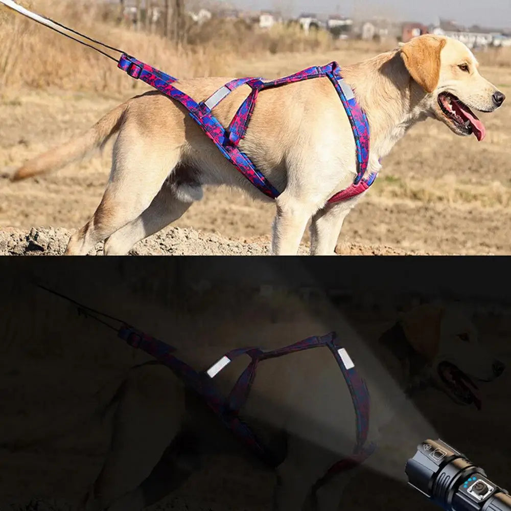Dog Running Harness No-Pull Sport Training Bikejoring Skijoring Sled Harness