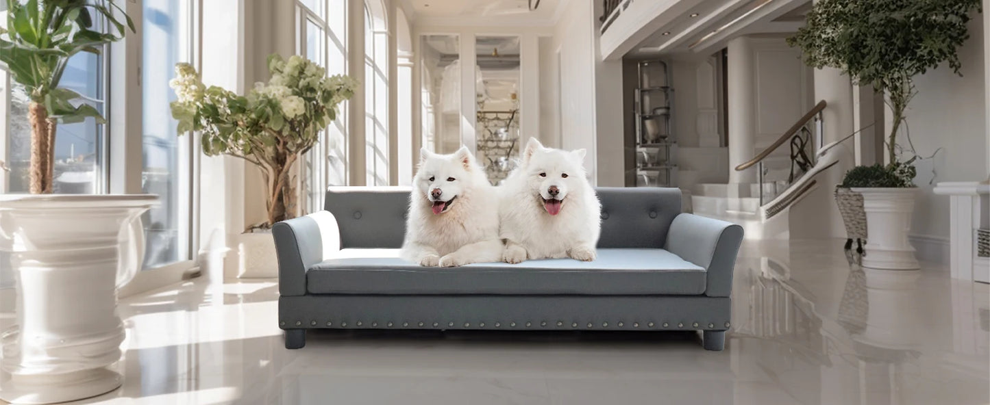 Modern Elevated Dog Sofa Bed for Medium & Large Dogs