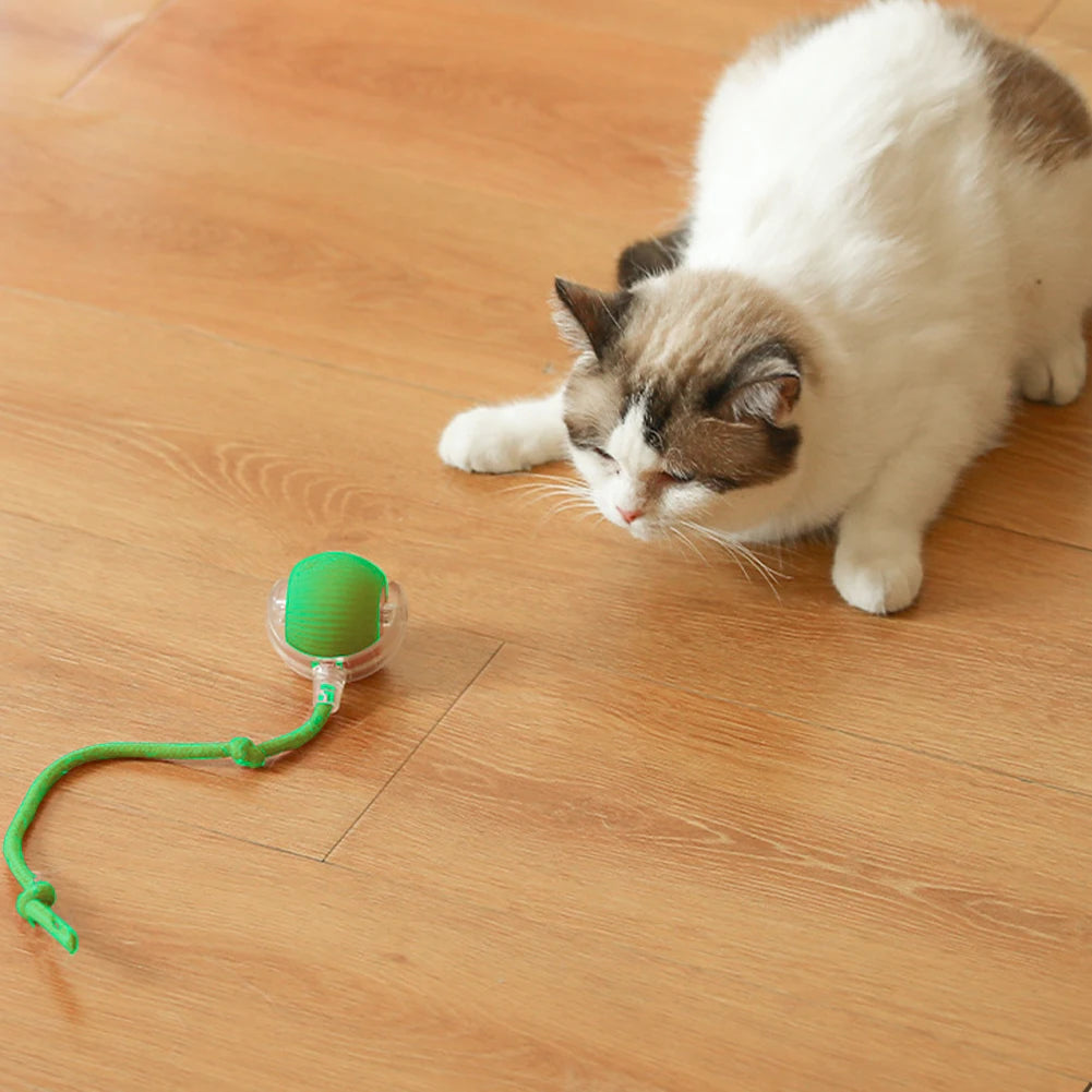 Interactive Rolling Cat Ball – Rechargeable Automatic Toy for Indoor Cats