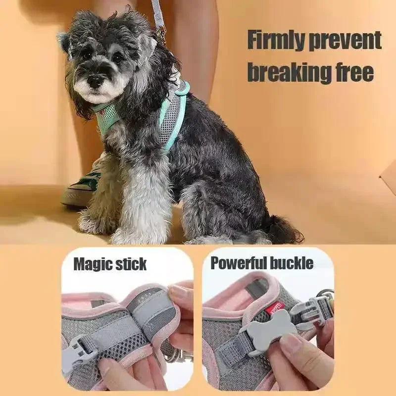 Breathable Pet Harness & Leash Set – Adjustable Safety Vest for Dogs & Cats