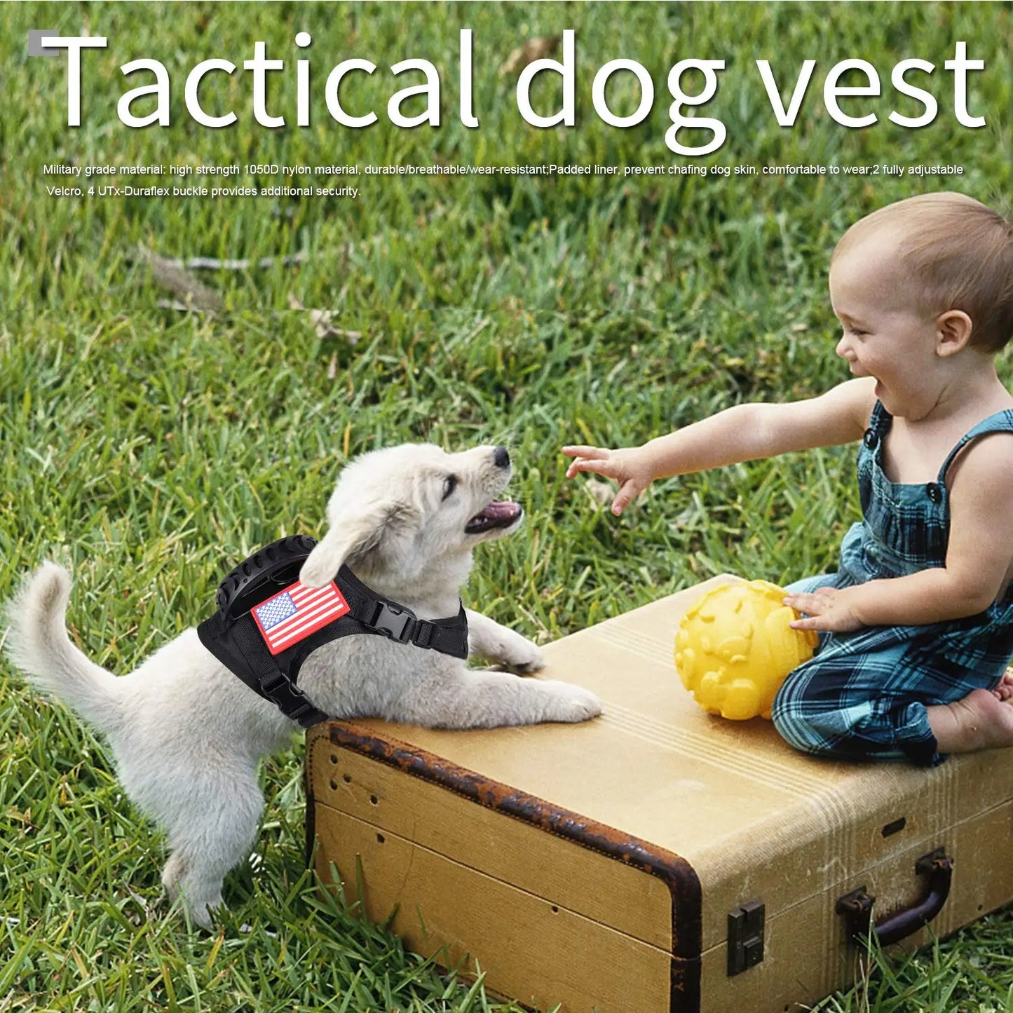 Tactical Pet Harness & Leash Set