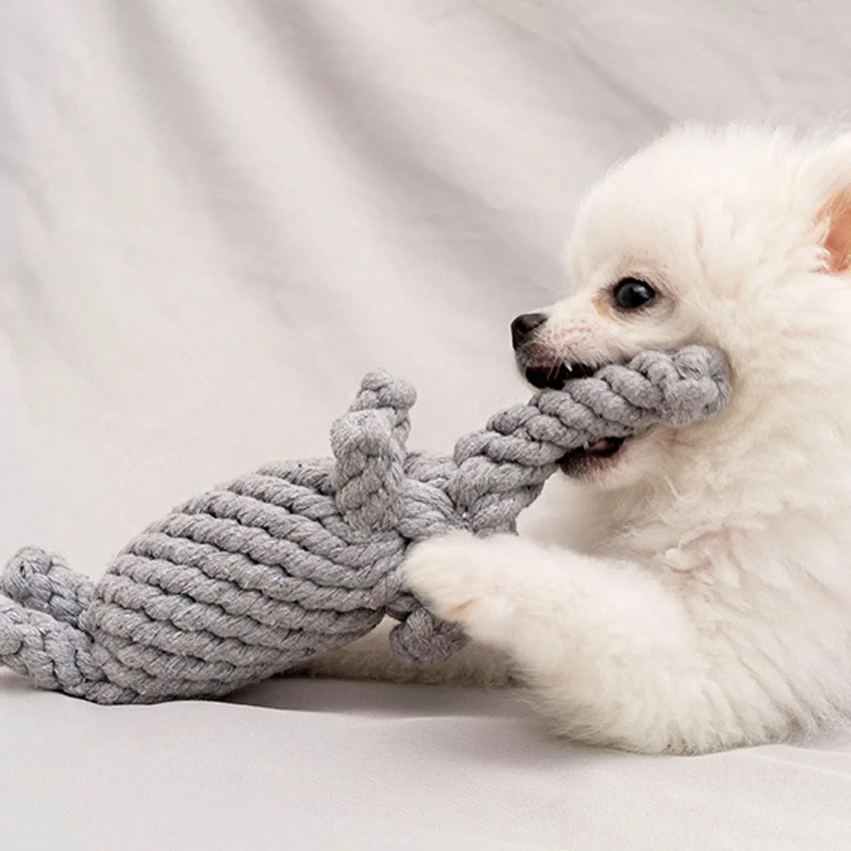 Cotton Rope Knot Dog Toy – Durable Teeth Cleaning Toy for Small & Medium Dogs