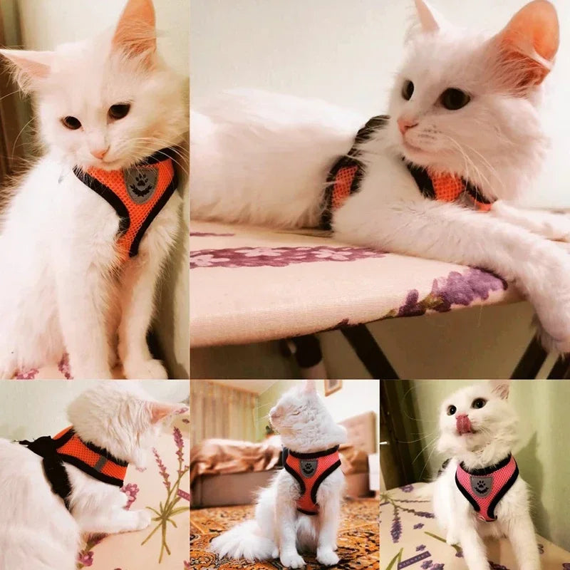 Adjustable Mesh Pet Harness & Leash – Breathable Walking Vest for Small & Medium Pets