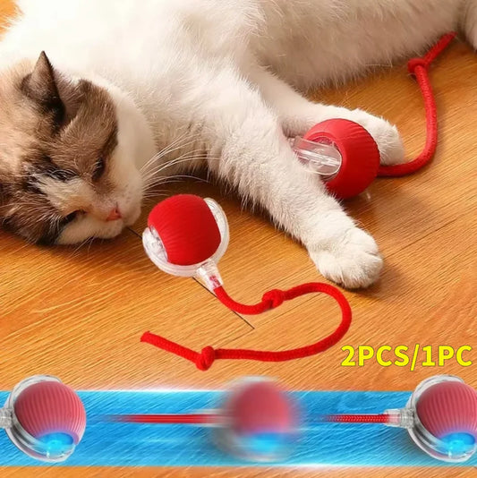 Interactive Rolling Cat Ball – Rechargeable Automatic Toy for Indoor Cats
