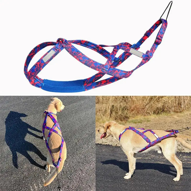 Dog Running Harness No-Pull Sport Training Bikejoring Skijoring Sled Harness