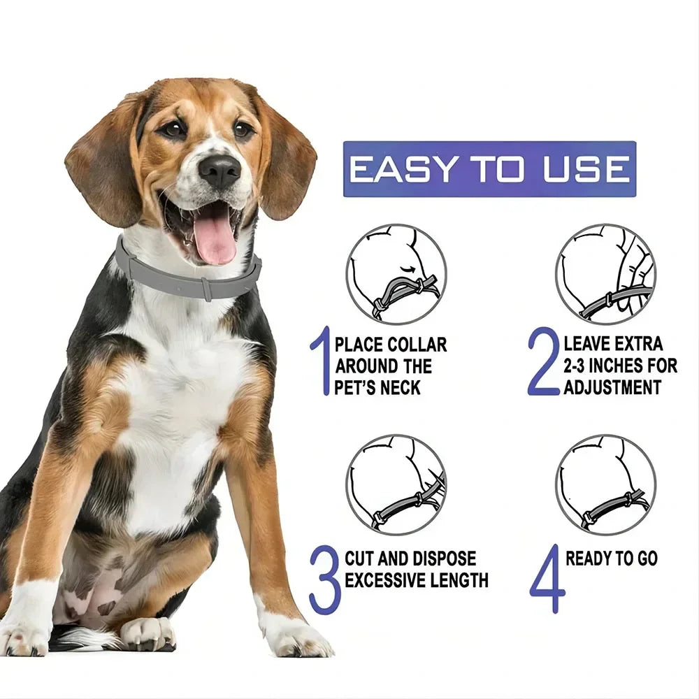 Waterproof Adjustable Pet Collar – Durable Collar for Small, Medium & Large Dogs