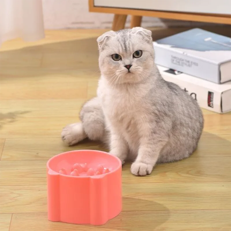 Cat Slow Feeder Bowl – Anti-Choking Neck Protection Design for Cats & Small Dogs