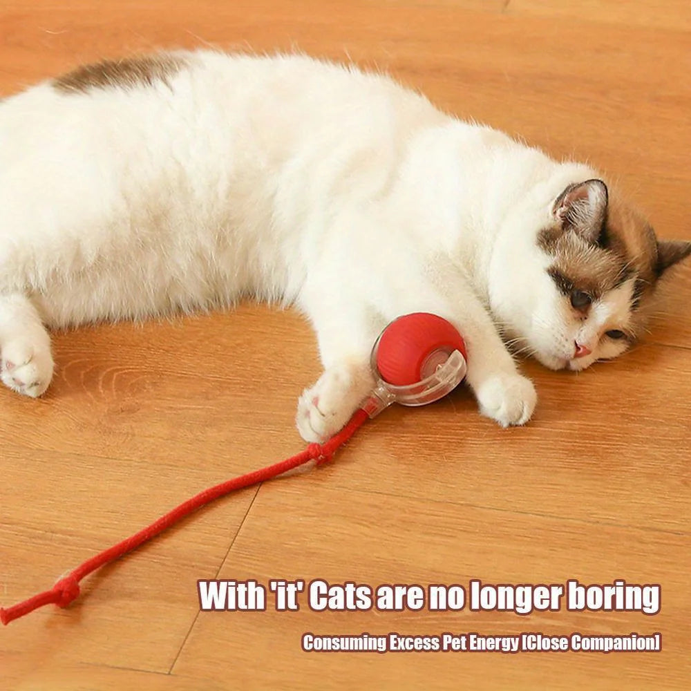 Rechargeable Smart Cat Ball – Interactive Electric Rolling Toy with Faux Tail for Cats & Dogs