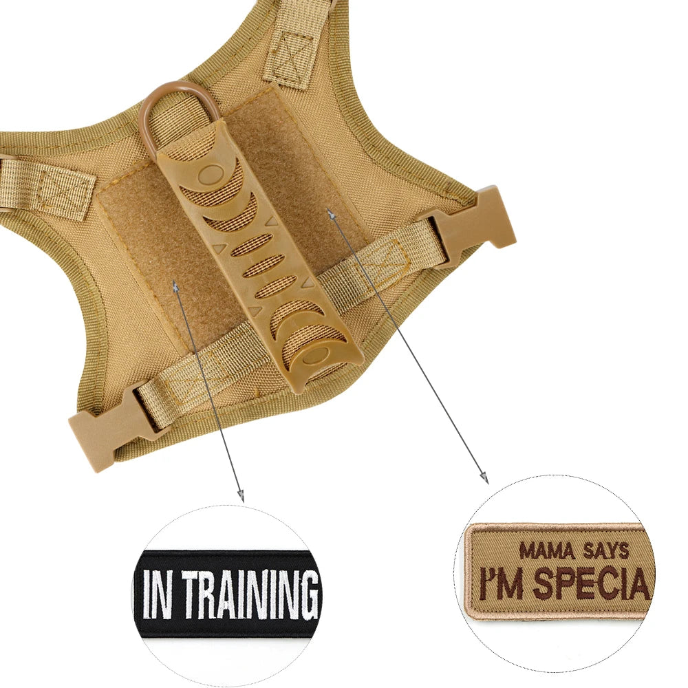 Tactical Pet Harness & Leash Set