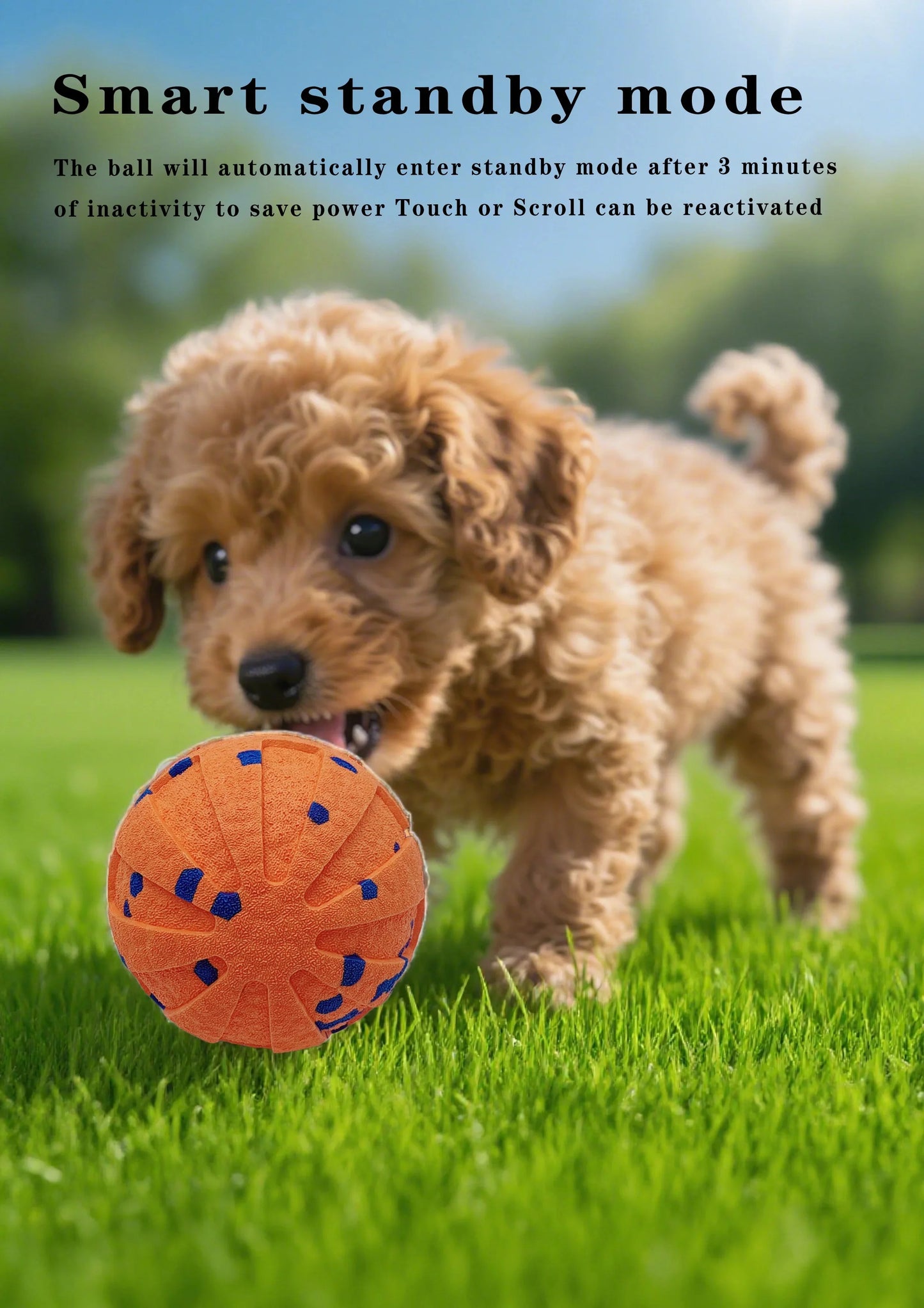 Interactive Smart Dog Ball – Automatic Moving & Bouncing Toy for Dogs