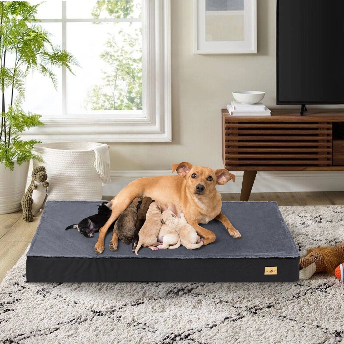 Orthopedic Dog Bed with Waterproof Lining & Washable Cover