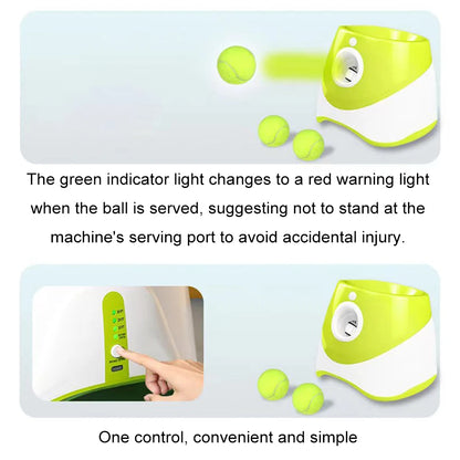 Automatic Dog Ball Launcher