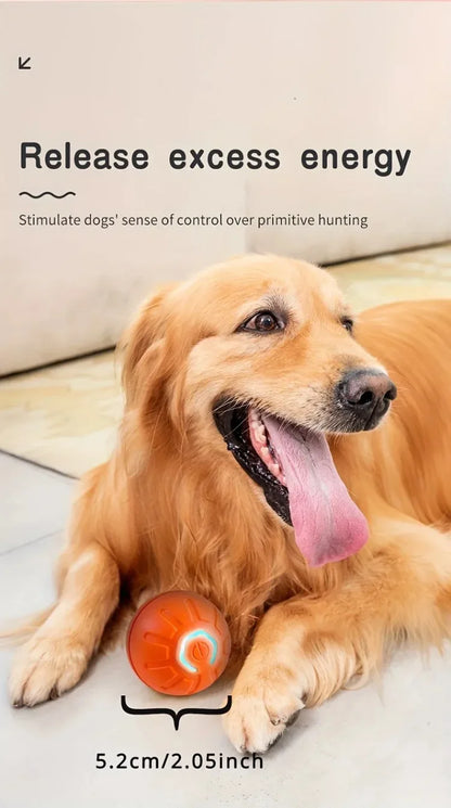 **Smart Interactive Dog Ball – USB Rechargeable Bouncing Toy for Puppies**