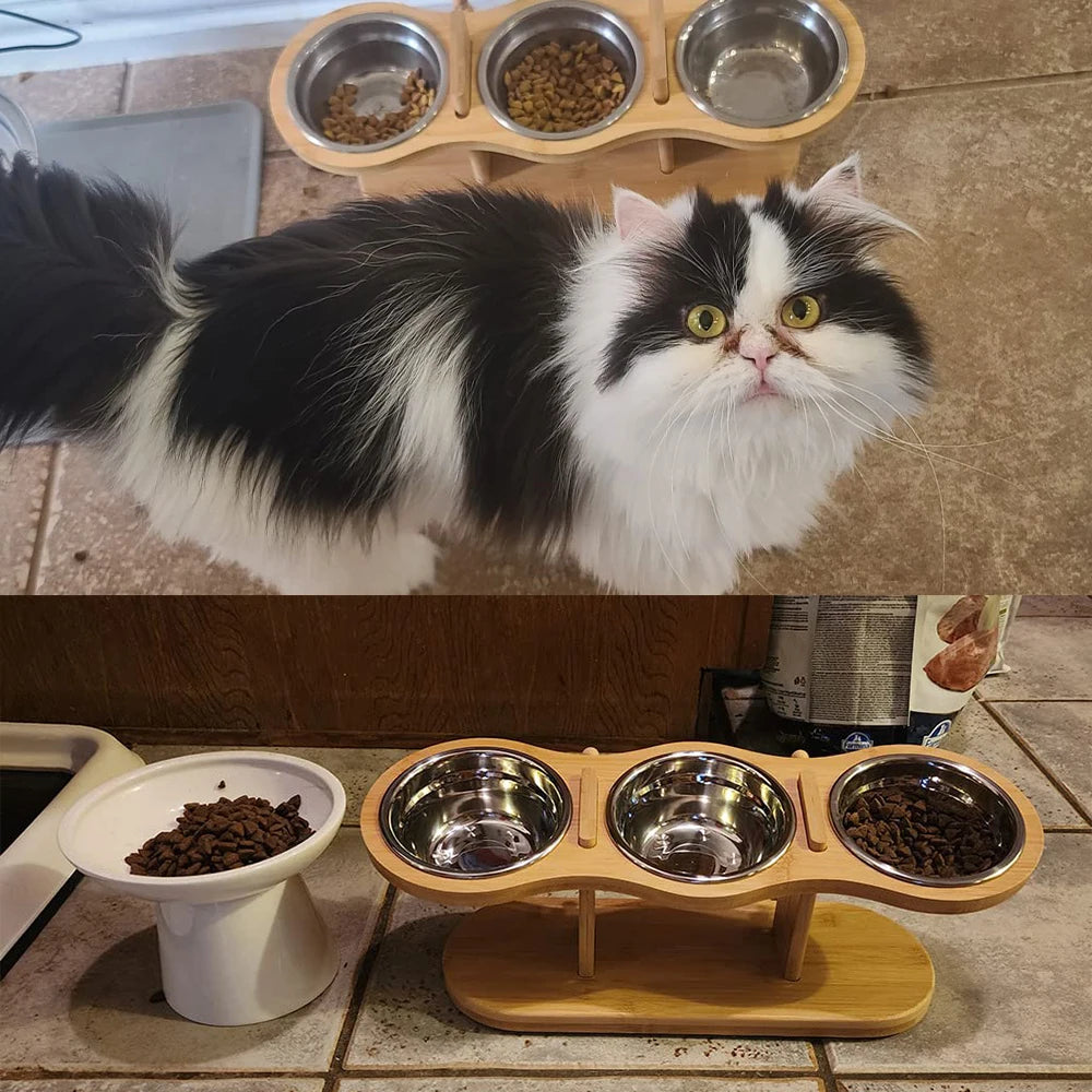 15° Tilted Cat Bowls – Adjustable Raised Feeder with 3 Stainless Steel Bowls for Cats & Small Dogs