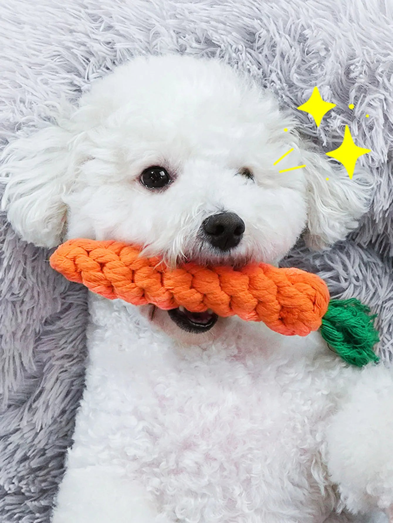 Cotton Rope Knot Dog Toy – Durable Teeth Cleaning Toy for Small & Medium Dogs