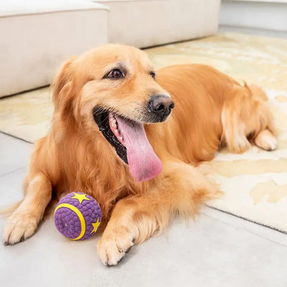 Interactive Dog Ball Toy – Tough Bouncy Chew Ball for Puppies