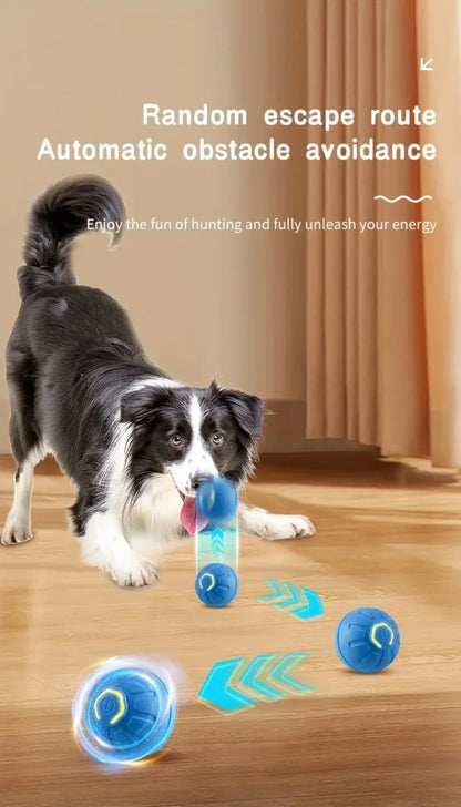 **Smart Interactive Dog Ball – USB Rechargeable Bouncing Toy for Puppies**