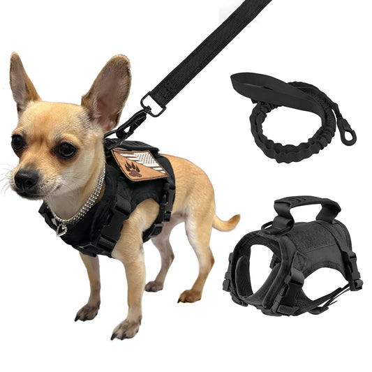 Tactical Pet Harness & Leash Set