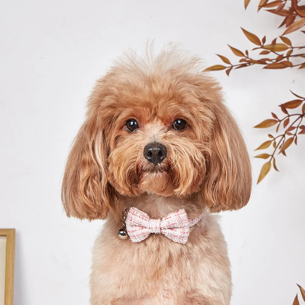 Adjustable Bow Tie Pet Collar with Bell for Cats & Small Dogs
