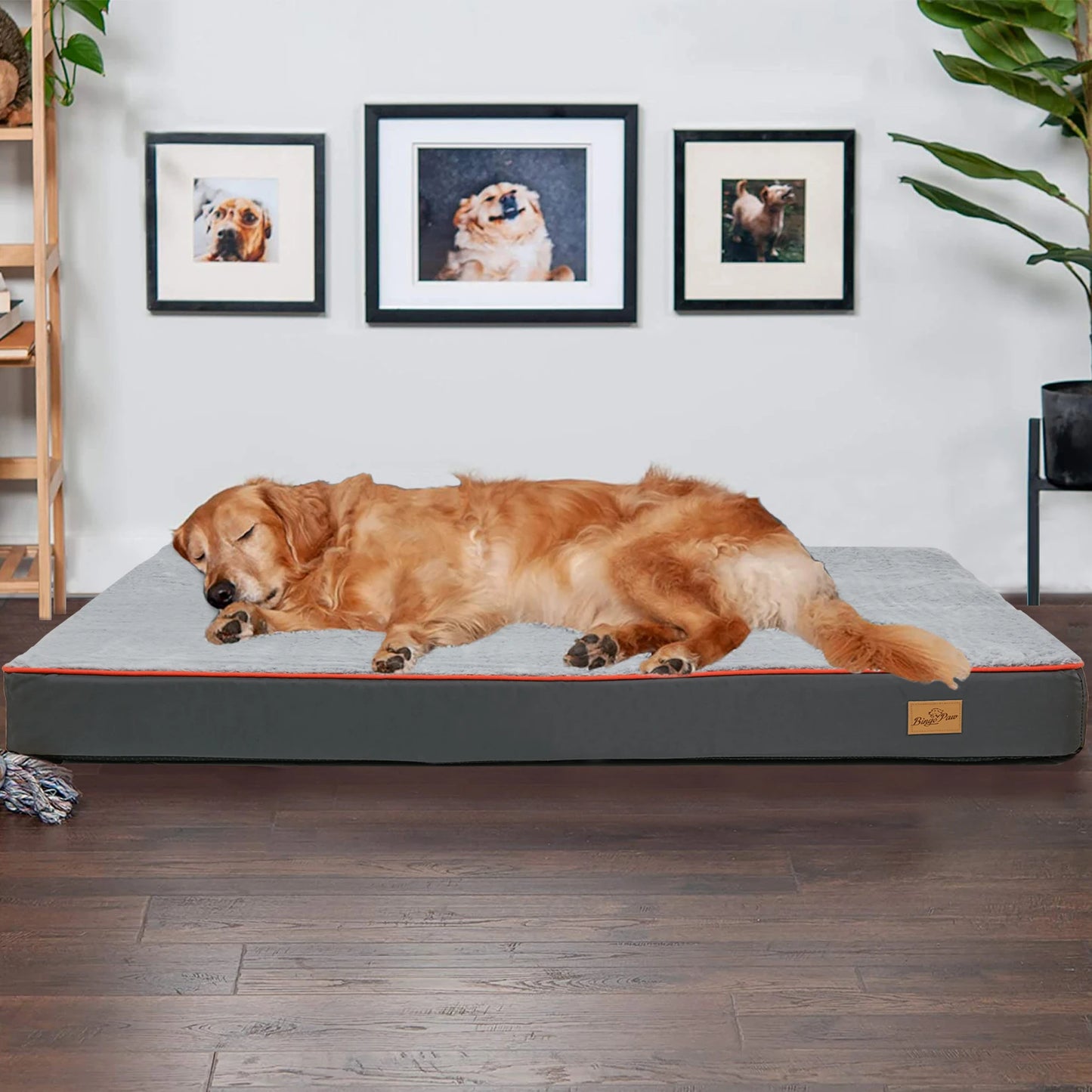Orthopedic Memory Foam Dog Bed with Waterproof Washable Cover