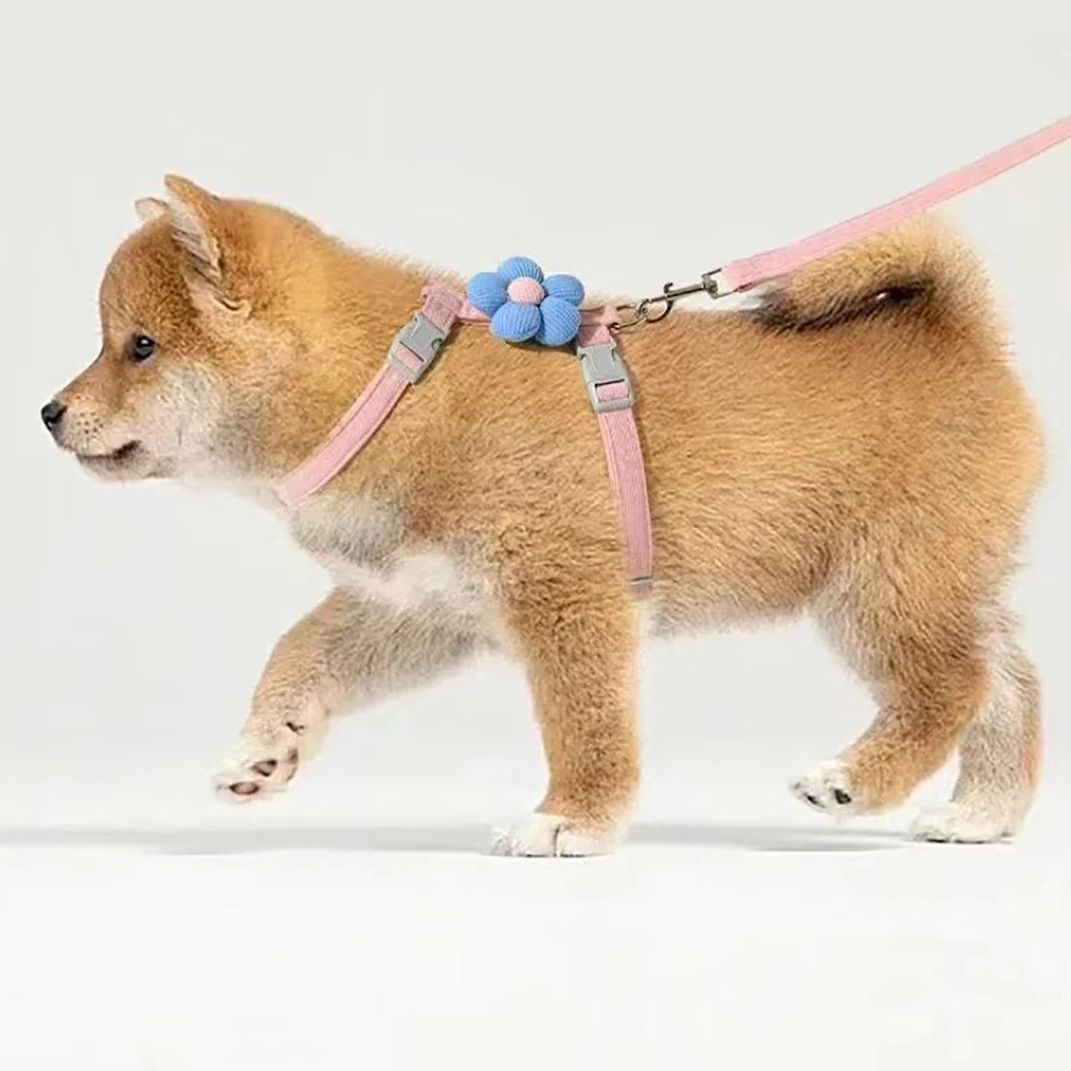 Adjustable Pet Harness & Leash Set – Breathable Walking Vest for Cats & Small Dogs