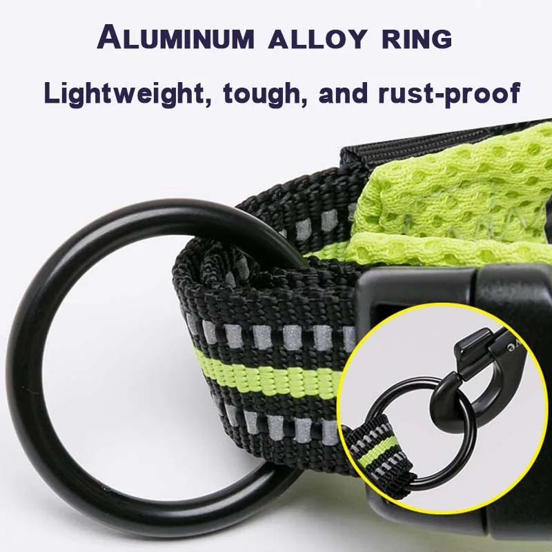 Padded Tactical Dog Collar – Adjustable Nylon Walking Collar for All Sizes