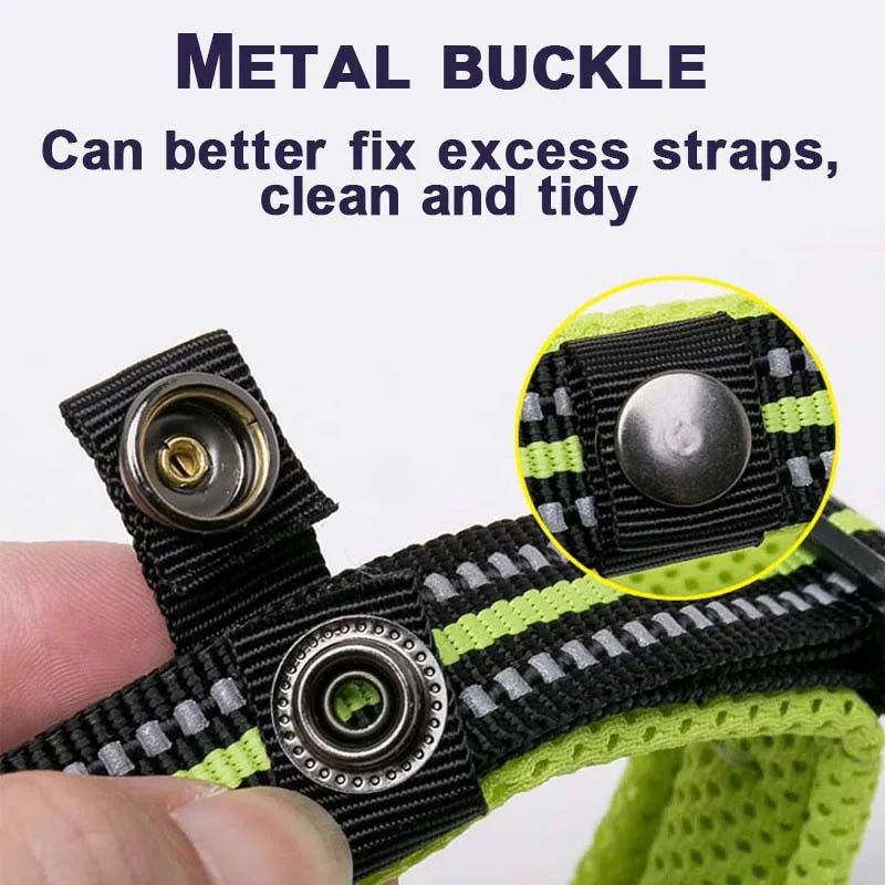 Padded Tactical Dog Collar – Adjustable Nylon Walking Collar for All Sizes