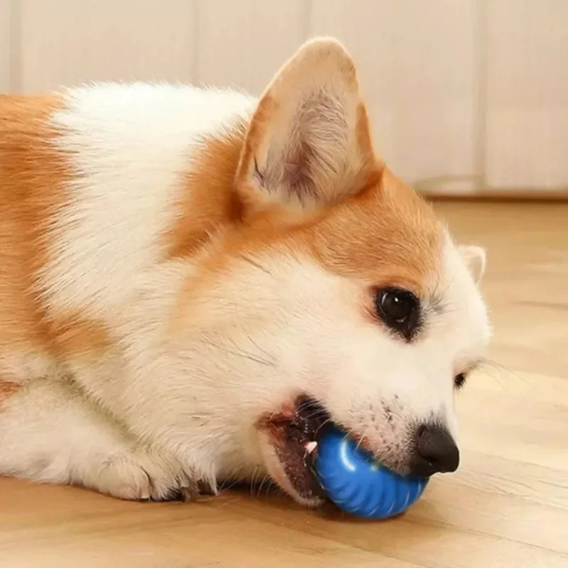Smart Interactive Dog Ball – Automatic Rolling & Bouncing USB Toy