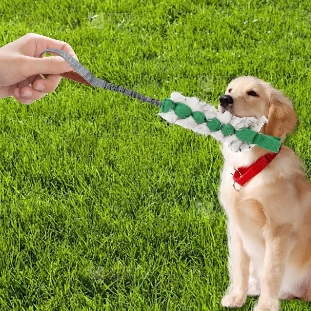 Interactive Squeaky Rope Dog Toy for Chewing & Teething Puppies