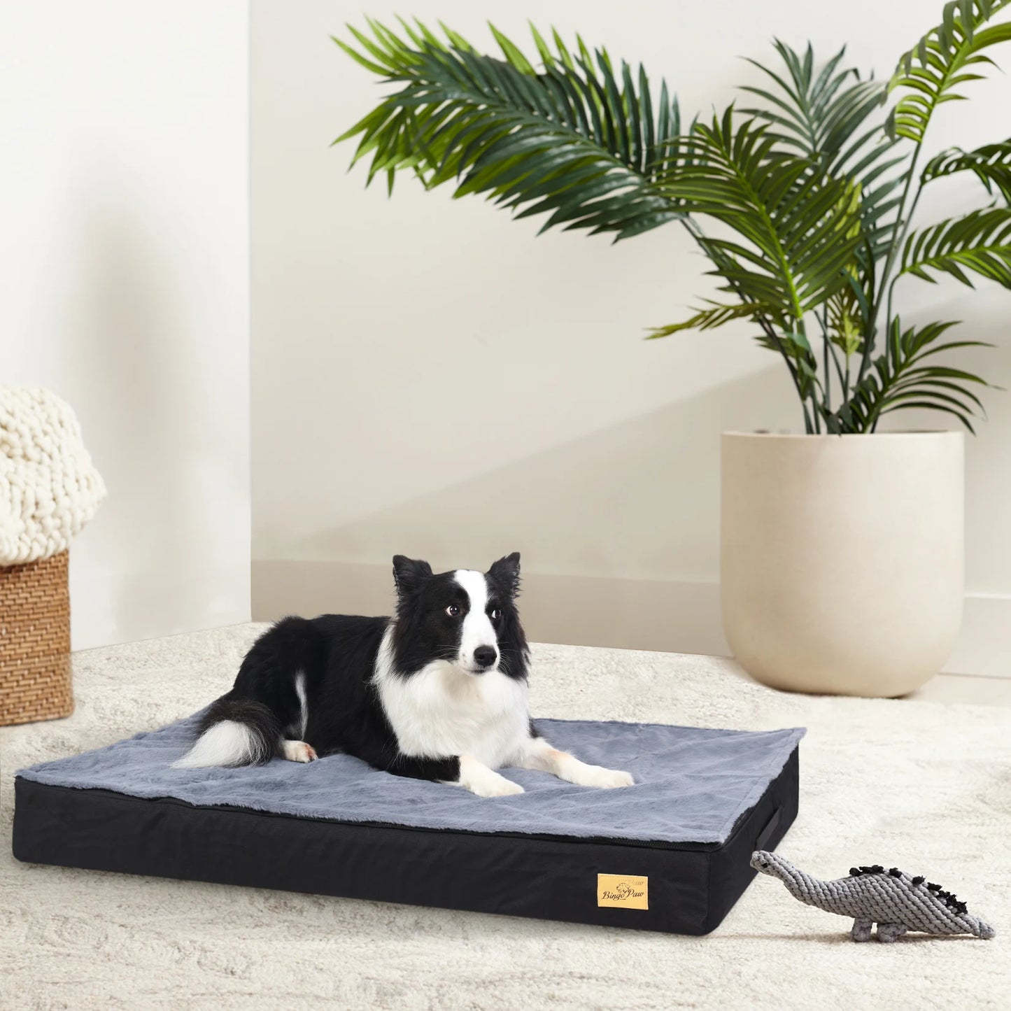 Jumbo Orthopedic Dog Bed with Memory Foam & Waterproof Cover