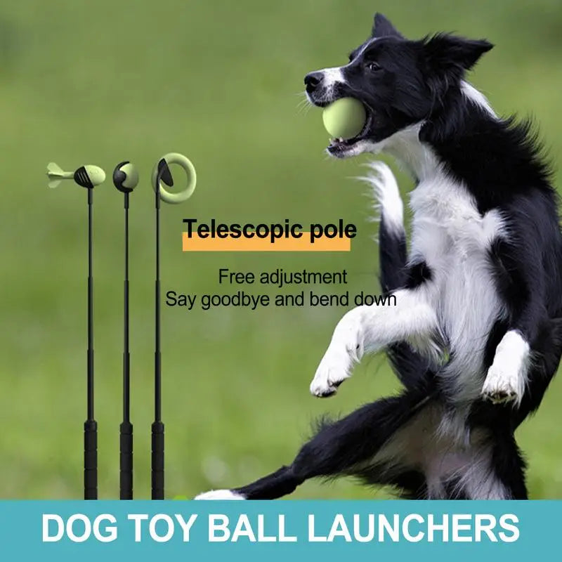 Interactive Dog Ball Launcher Toy for Outdoor Fetch Training