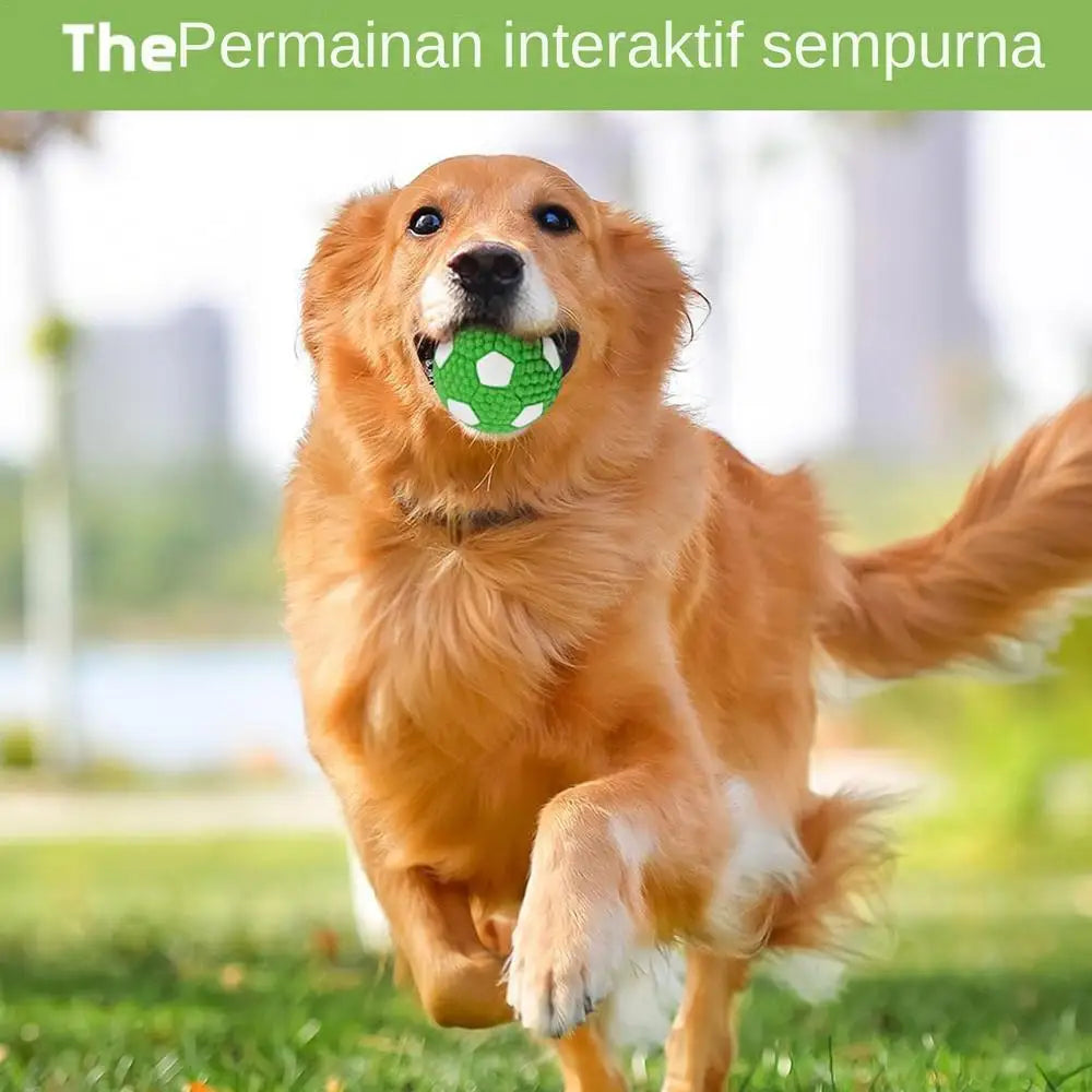 Interactive Dog Ball Toy – Tough Bouncy Chew Ball for Puppies