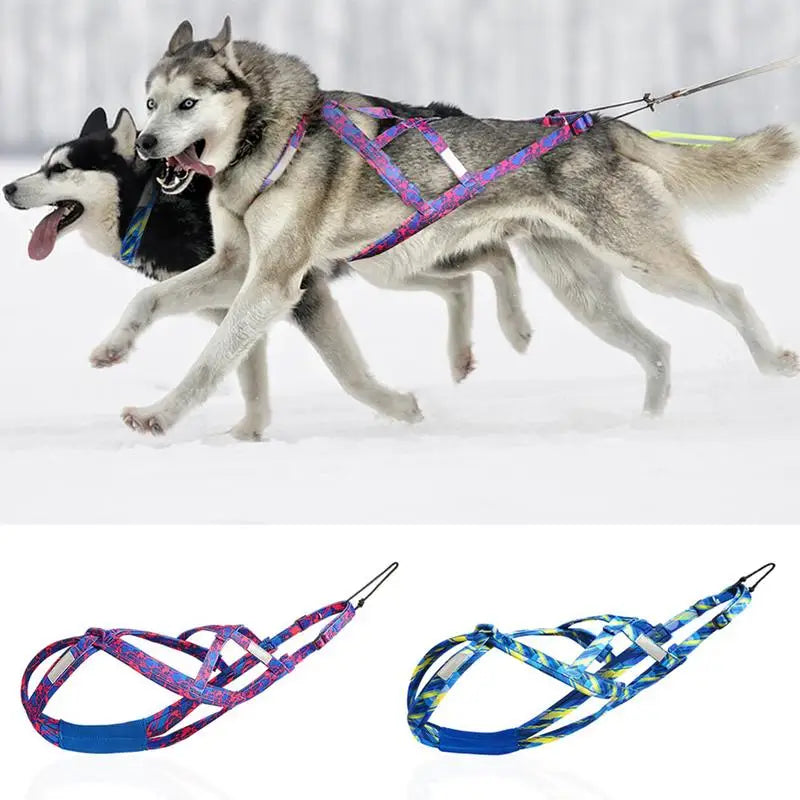 Dog Running Harness No-Pull Sport Training Bikejoring Skijoring Sled Harness