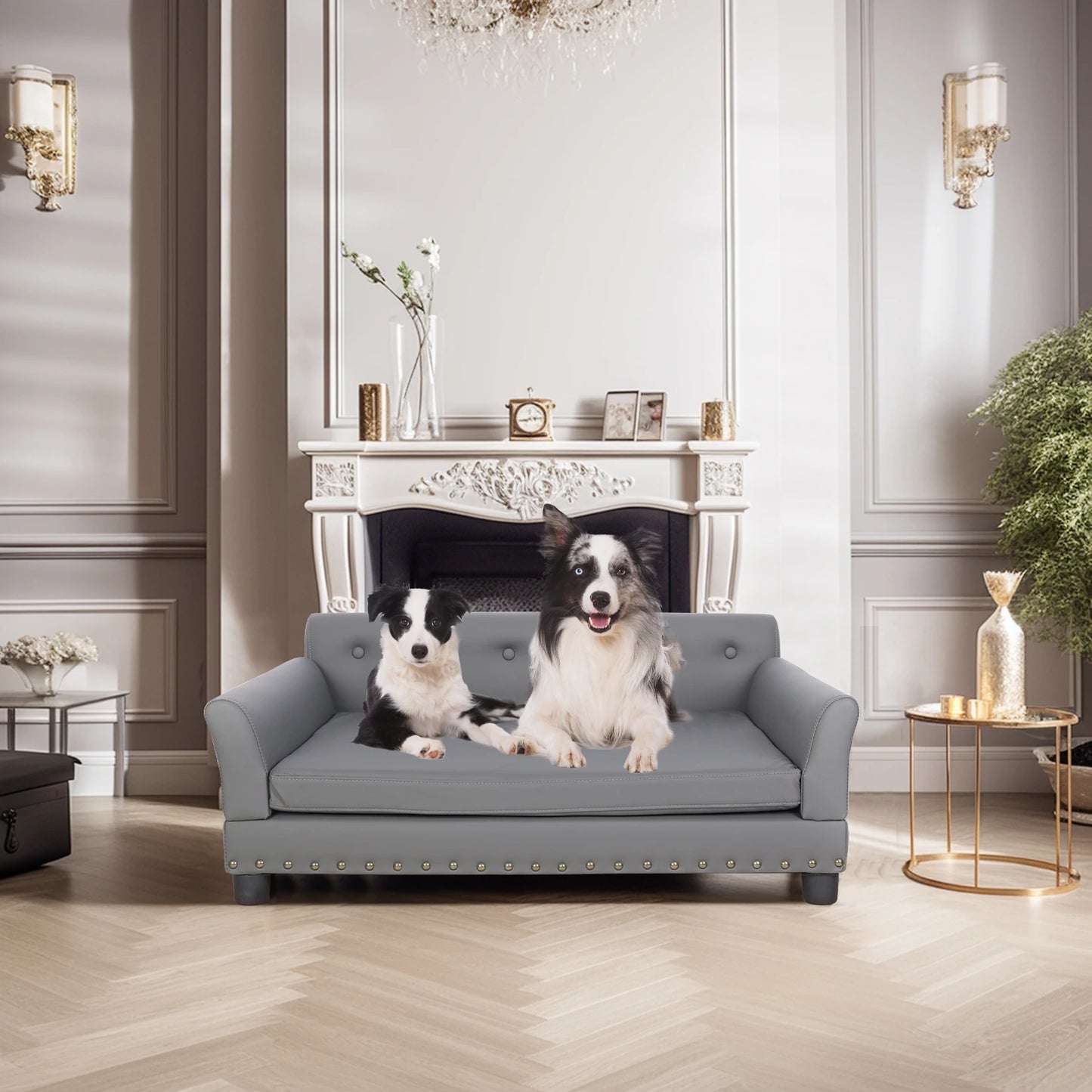 Modern Elevated Dog Sofa Bed for Medium & Large Dogs