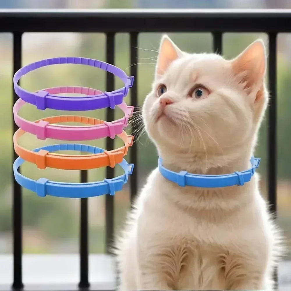 Waterproof Adjustable Pet Collar – Durable Collar for Small, Medium & Large Dogs
