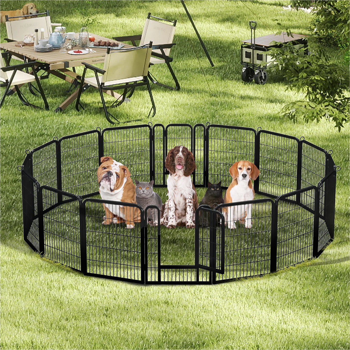 Foldable Metal Dog Playpen with Door – Indoor & Outdoor Puppy Fence