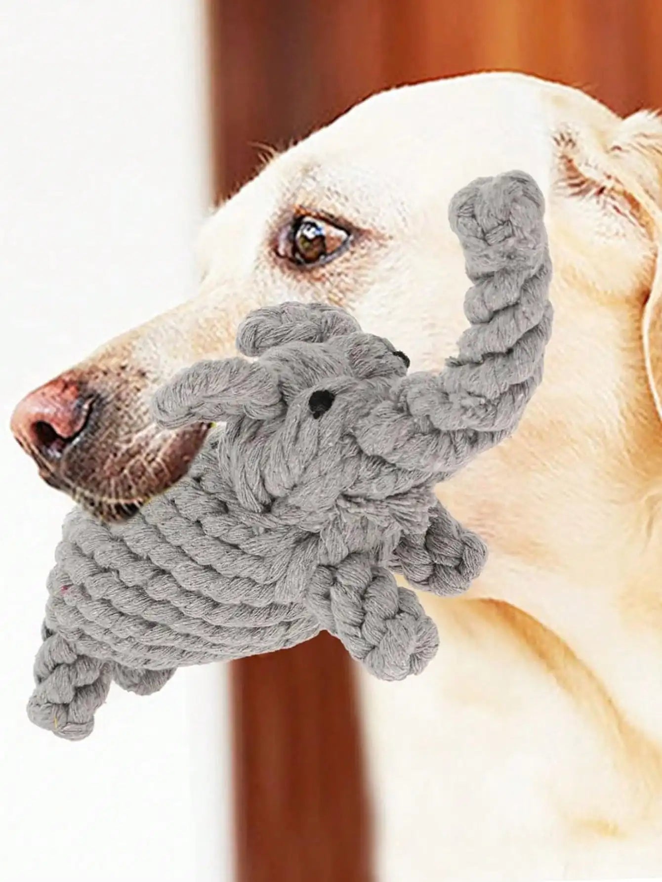 Cotton Rope Knot Dog Toy – Durable Teeth Cleaning Toy for Small & Medium Dogs