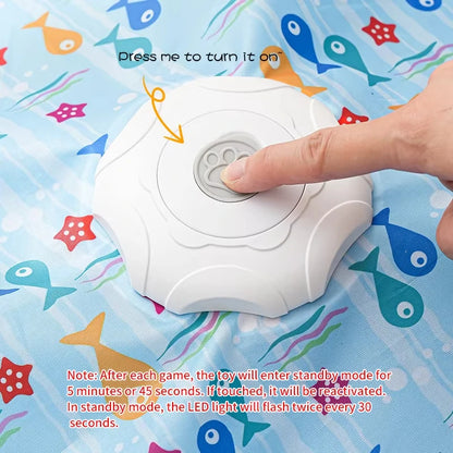 Interactive Hide & Seek Cat Toy with Motion Mouse & Feathers