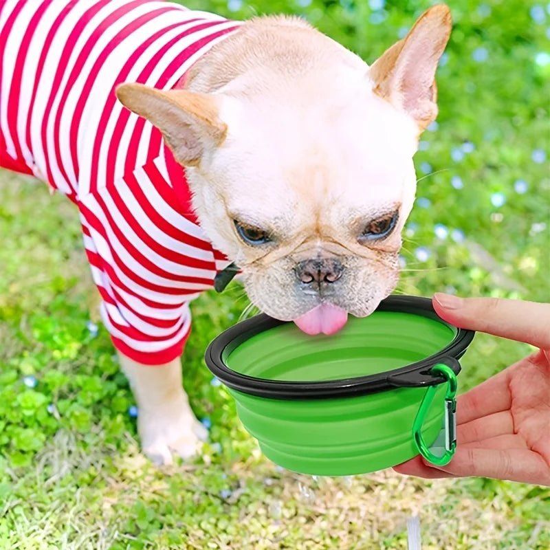 Portable Pet Food Bowl – Collapsible TPR Silicone Travel Bowl for Dogs & Cats